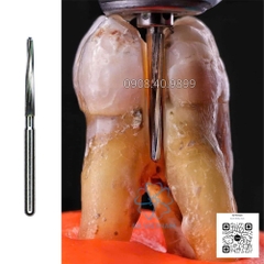 Mũi phẫu thuật Mani Surgical Burs MZB+