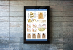 Tranh Atlas giải phẫu hàm răng - chân răng và các bệnh lý thường gặp