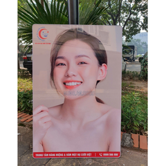 Tranh nha khoa nụ cười đẹp - NC08