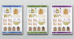 Tranh Atlas giải phẫu hàm răng - chân răng và các bệnh lý thường gặp