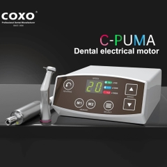 Động cơ motor điện COXO C-Puma