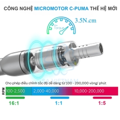 Động cơ motor điện COXO C-Puma