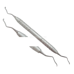 Đục xương Rhodes