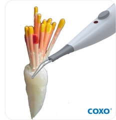 Máy cắt gutta Coxo C-Blade (gutta cutter)