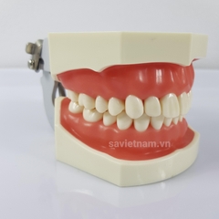 Hàm thưc hành mài cùi