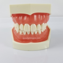 Hàm thưc hành mài cùi