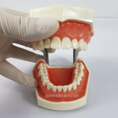 Hàm thưc hành mài cùi