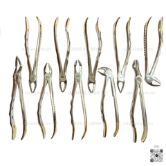 Kìm nhổ răng người lớn cán vàng Prime