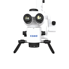 Kính hiển vi nha khoa Coxo C-CLEAR-1