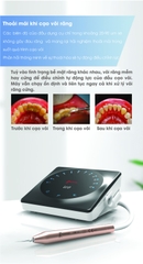 Máy cạo vôi Ultrasonic U6 Led Woodpecker - Máy lấy cao