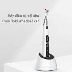 Máy điều trị nội nha Endo Gold Woodpecker