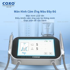 Máy lấy cao và thổi cát PT Master 2in1 - Coxo