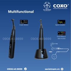 Máy nội nha tích hợp định vị chóp không dây Coxo C-Smart Mini AP+