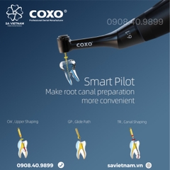 Máy nội nha tích hợp định vị chóp không dây Coxo C-Smart Mini AP+