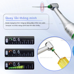 Máy nội nha COXO C Smart Mini 2