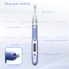 Máy nội nha COXO C Smart Mini 2