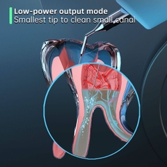 Máy Rung Rửa Nội Nha COXO Ultra Smart AI