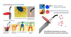 Đèn quang trùng hợp Coxo DB686 HELEN+