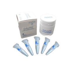 Vật liệu trám bít ống tủy OrthoMTA- Hàn Quốc