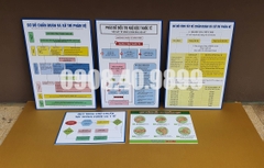 Set tranh thẩm định phòng khám, cơ sở y tế ( Sơ đồ chẩn đoán phản vệ, phác đồ điều trị ngộ độc tê...)