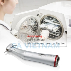 Tay mài tốc độ cao Coxo C7-5S (1:5)