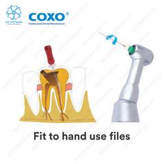 Tay nong nội nha Coxo CX235C5 (Đầu tay chậm nong ống tủy COXO)