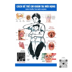 Tranh Cách bế trẻ em khám tai mũi họng (giải phẫu tai mũi họng)