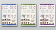 Tranh giải phẫu răng & các bệnh lý thường gặp