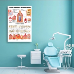 Tranh Hàm răng lành mạnh và một số bệnh về răng