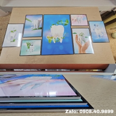 Set tranh nha khoa chất liệu fomex
