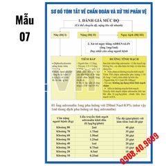 Tranh Chẩn đoán và xử trí phản vệ - phác đồ mới nhất của BYT