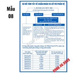 Tranh Chẩn đoán và xử trí phản vệ - phác đồ mới nhất của BYT