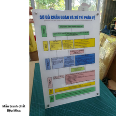 Tranh Chẩn đoán và xử trí phản vệ - phác đồ mới nhất của BYT