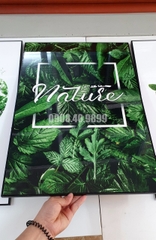 SET TRANH NHA KHOA -SET17