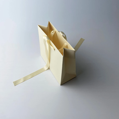 Túi Giấy Ivory in Màu Size 25x28x9cm