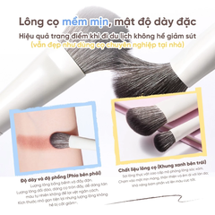 Bộ cọ trang điểm mắt phiên bản du lịch Amortals (7pce/hộp)
