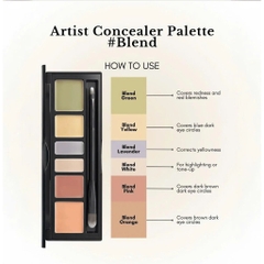 Bảng che khuyết điểm triệt sắc Jung Saem Mool Artist Concealer Palette 6.6g