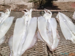 Mực 1 nắng loại 1 (1kg giá 500000đ)