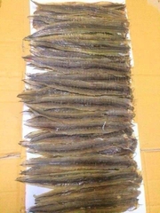 Cá Lươn (Gói 500g giá 150000đ)