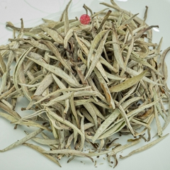 BẠCH TRÀ SHAN TUYẾT CỔ THỤ VỤ XUÂN BÚP TO
