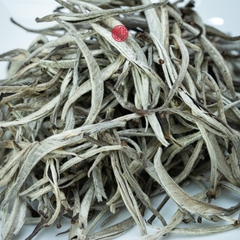 BẠCH TRÀ SHAN TUYẾT CỔ THỤ VỤ XUÂN Ủ 1 NĂM