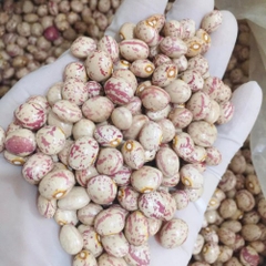 Đậu Cúc Sạch 1kg ( Gói)