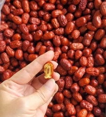 TÁO ĐỎ TÂN CƯƠNG LOẠI NHỎ LOẠI BI 500gr