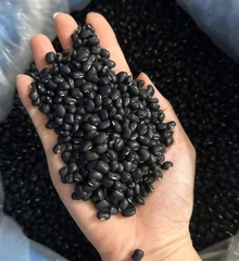 Đậu Đen Xanh Lòng 1kg ( Túi)