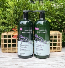 Dầu gội hữu cơ Avalon Organics hương Oải Hương cho tóc thường và khô 946ml ( Chai )