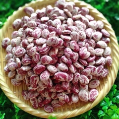 Đậu Ngự Nghệ An 1kg ( Túi)