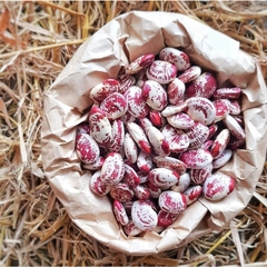 Đậu Ngự Nghệ An 1kg ( Túi)
