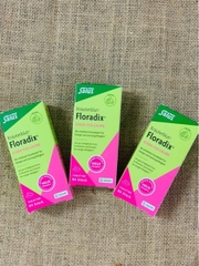 Viên nang bổ sung Sắt acid folic và Vitamin B Salus Floradix 84 viên