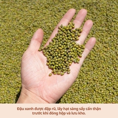 Đậu Xanh Sạch Nghệ An 1kg ( Túi)