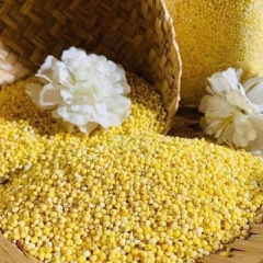 Hạt Kê Nghệ An 1kg ( Túi)